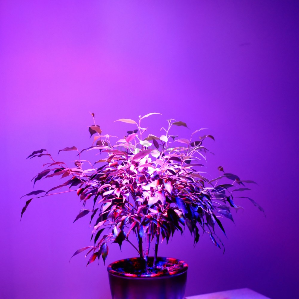 Светодиодная фитолампа для растений