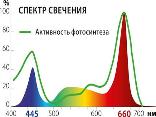 Спектральный анализ фитолампы